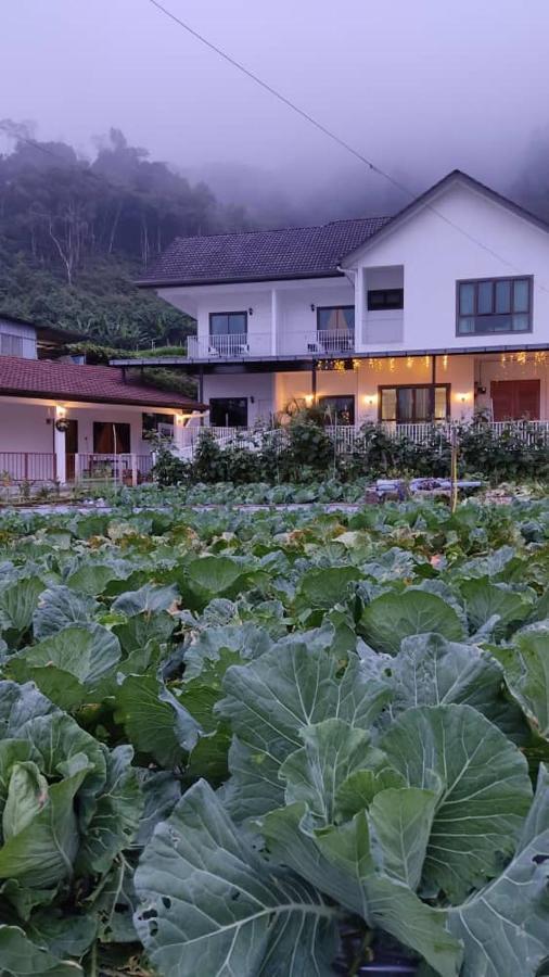 Ng Family'S Farm Stay Cameron Highlands Luaran gambar